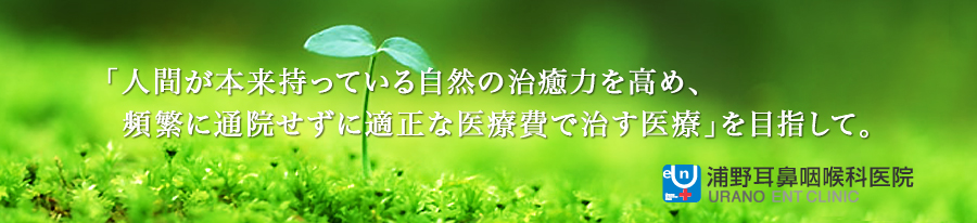 トップイメージ