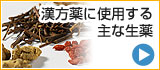 漢方に使用する主な生薬